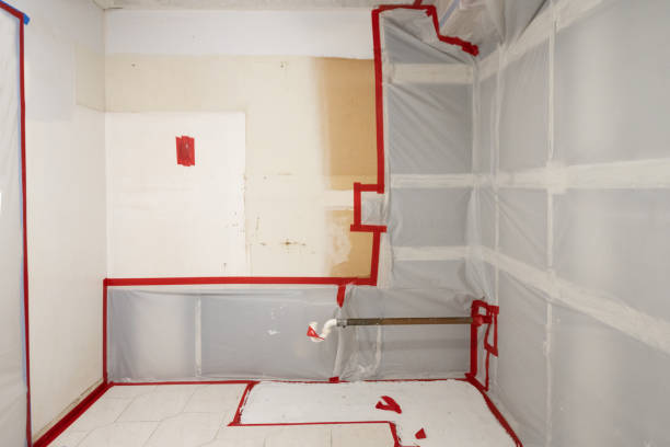 Best Air Quality Testing for Mold Spores  in Ebensburg, PA