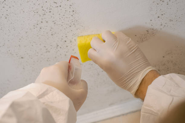 Best Water Damage & Mold Remediation  in Ebensburg, PA